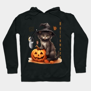 Halloween black cat pumbkins Hoodie